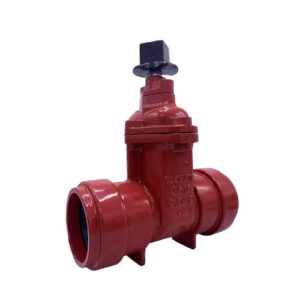 Flomatic Valves - 8567RT - Model 115PO Push On Gate valves